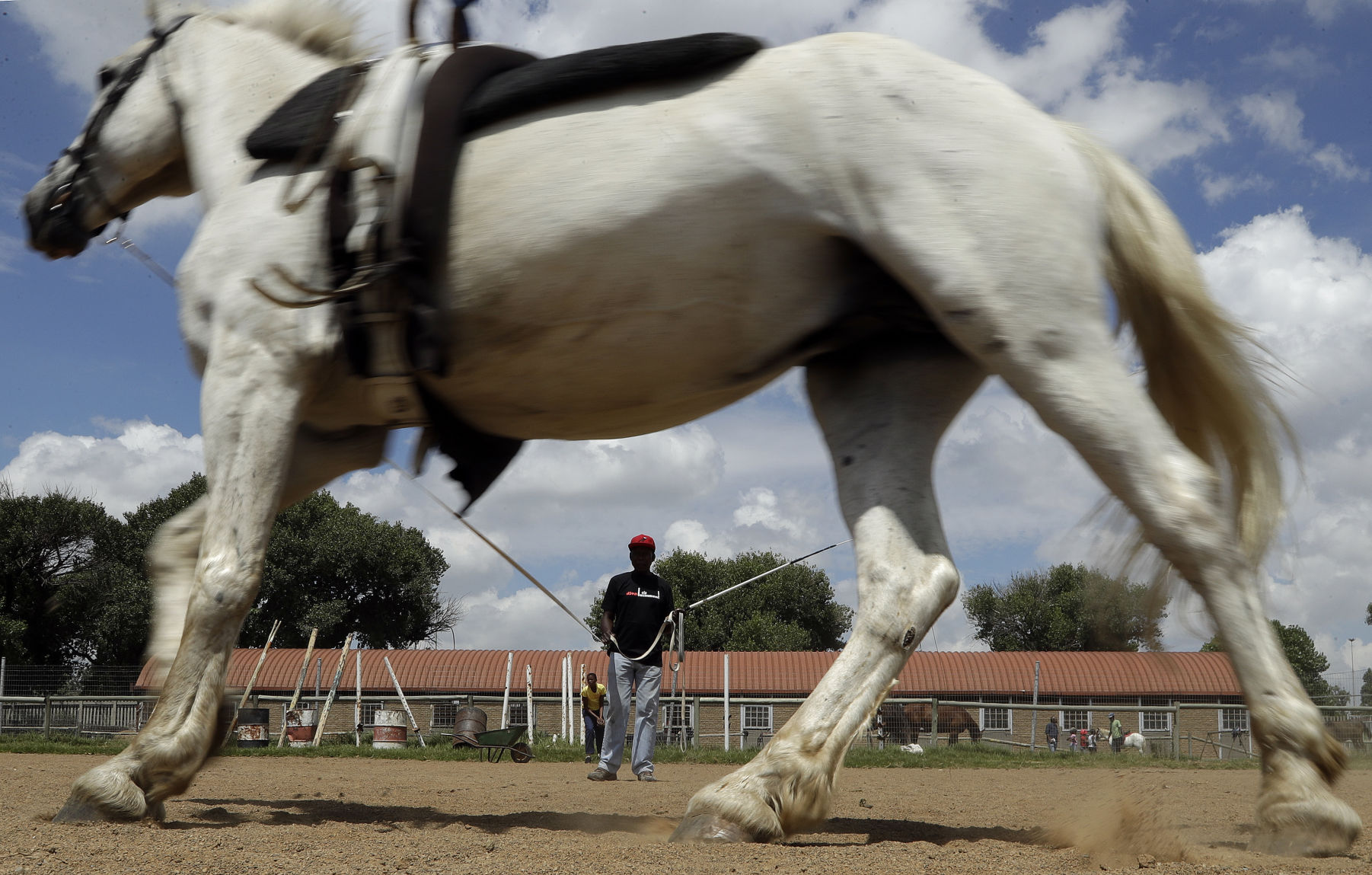 South Africa Soweto Horse Gymnastics